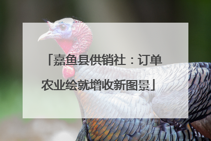 嘉鱼县供销社：订单农业绘就增收新图景