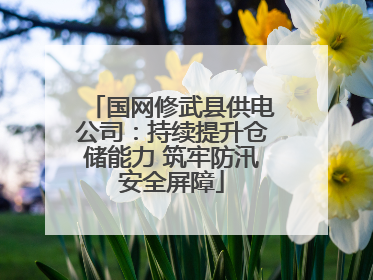 国网修武县供电公司：持续提升仓储能力 筑牢防汛安全屏障
