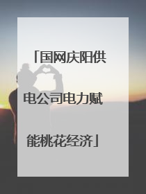 国网庆阳供电公司电力赋能桃花经济