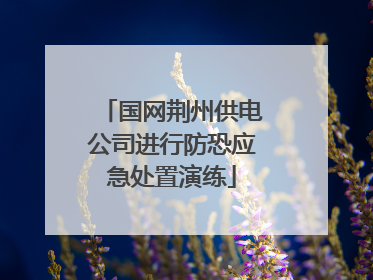 国网荆州供电公司进行防恐应急处置演练