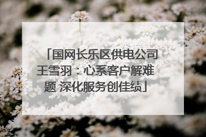 国网长乐区供电公司王雪羽：心系客户解难题 深化服务创佳绩