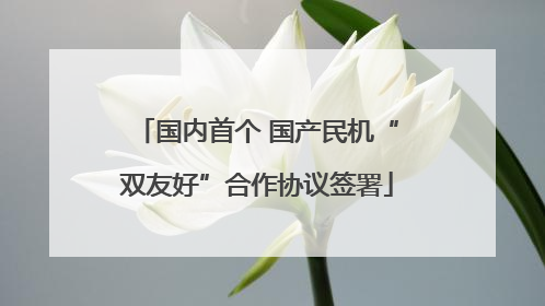 国内首个 国产民机“双友好”合作协议签署