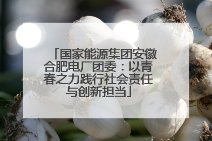 国家能源集团安徽合肥电厂团委：以青春之力践行社会责任与创新担当