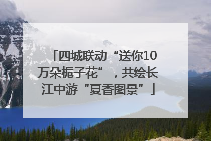四城联动“送你10万朵栀子花”，共绘长江中游“夏香图景”