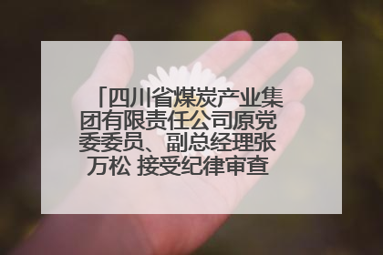 四川省煤炭产业集团有限责任公司原党委委员、副总经理张万松 接受纪律审查和监察调查