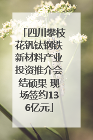 四川攀枝花钒钛钢铁新材料产业投资推介会结硕果 现场签约136亿元