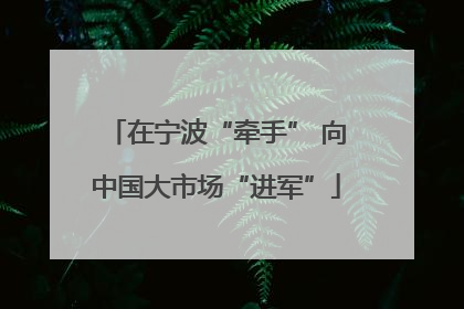 在宁波“牵手” 向中国大市场“进军”