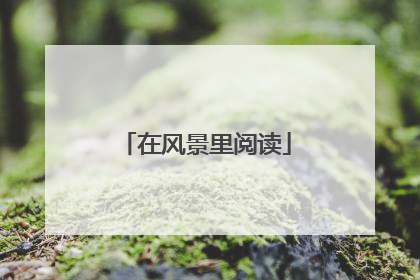 在风景里阅读