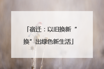 宿迁：以旧换新“换”出绿色新生活