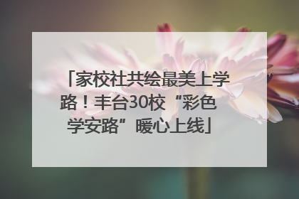家校社共绘最美上学路！丰台30校“彩色学安路”暖心上线