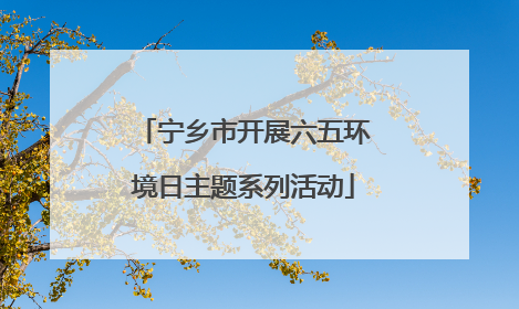 宁乡市开展六五环境日主题系列活动