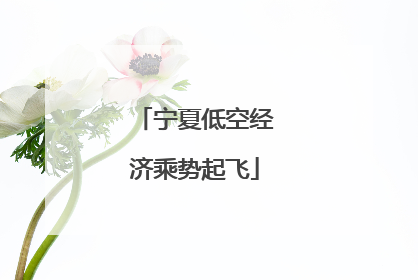 宁夏低空经济乘势起飞