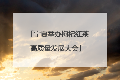 宁夏举办枸杞红茶高质量发展大会