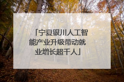 宁夏银川人工智能产业升级带动就业增长超千人
