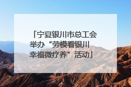 宁夏银川市总工会举办“劳模看银川 幸福微疗养”活动