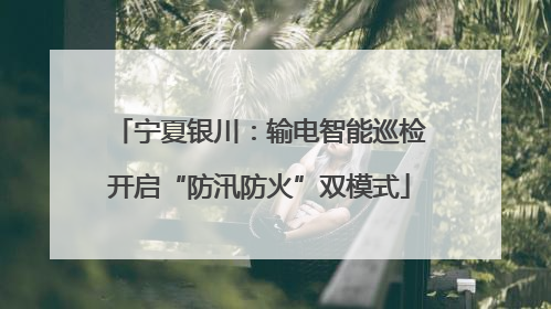 宁夏银川：输电智能巡检开启“防汛防火”双模式