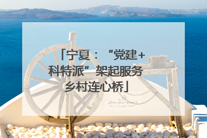 宁夏：“党建+科特派”架起服务乡村连心桥