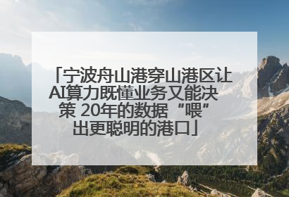 宁波舟山港穿山港区让AI算力既懂业务又能决策 20年的数据“喂”出更聪明的港口