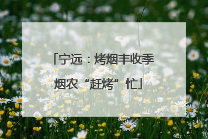 宁远：烤烟丰收季 烟农“赶烤”忙