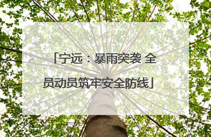 宁远：暴雨突袭 全员动员筑牢安全防线