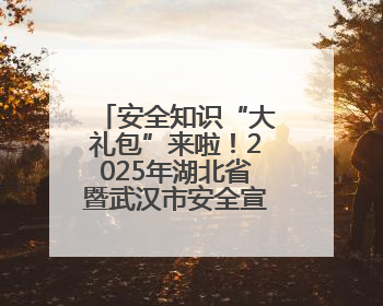 安全知识“大礼包”来啦！2025年湖北省暨武汉市安全宣传咨询日活动在汉举行