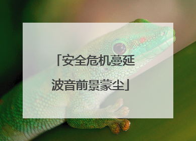 安全危机蔓延 波音前景蒙尘