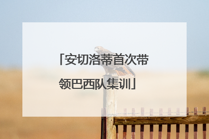 安切洛蒂首次带领巴西队集训