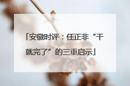 安徽时评：任正非“干就完了”的三重启示