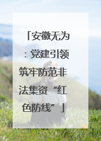 安徽无为：党建引领筑牢防范非法集资“红色防线”