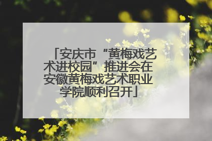 安庆市“黄梅戏艺术进校园”推进会在安徽黄梅戏艺术职业学院顺利召开