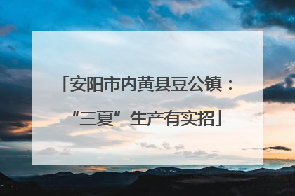 安阳市内黄县豆公镇：“三夏”生产有实招