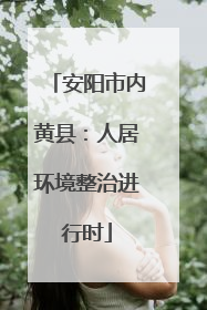 安阳市内黄县：人居环境整治进行时