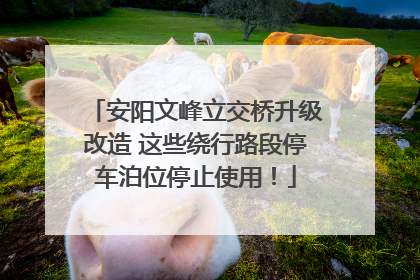 安阳文峰立交桥升级改造 这些绕行路段停车泊位停止使用！