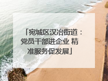 宛城区汉冶街道：党员干部进企业 精准服务促发展