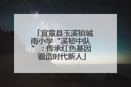 宜章县玉溪镇城南小学“溪韧中队”：传承红色基因 锻造时代新人