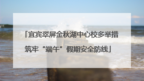 宜宾翠屏金秋湖中心校多举措筑牢“端午”假期安全防线