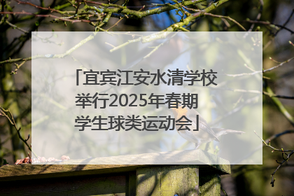 宜宾江安水清学校举行2025年春期学生球类运动会