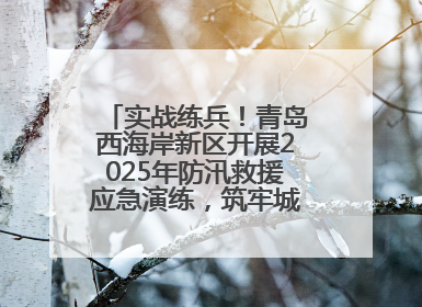 实战练兵！青岛西海岸新区开展2025年防汛救援应急演练，筑牢城市安全防线