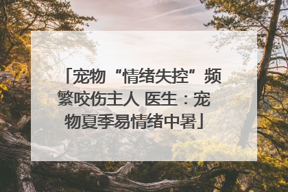 宠物“情绪失控”频繁咬伤主人 医生：宠物夏季易情绪中暑