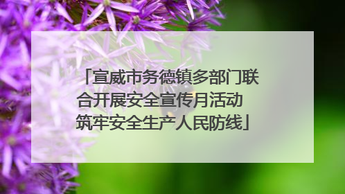 宣威市务德镇多部门联合开展安全宣传月活动 筑牢安全生产人民防线