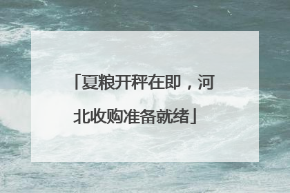 夏粮开秤在即，河北收购准备就绪