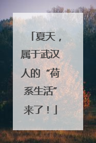 夏天，属于武汉人的“荷系生活”来了！