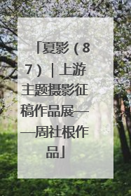 夏影（87）｜上游主题摄影征稿作品展——周社根作品