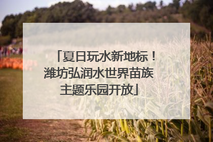 夏日玩水新地标！潍坊弘润水世界苗族主题乐园开放