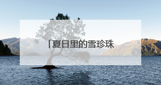 夏日里的雪珍珠——华北珍珠梅