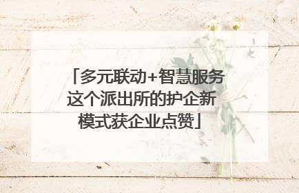 多元联动+智慧服务 这个派出所的护企新模式获企业点赞