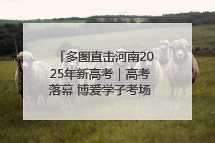 多图直击河南2025年新高考｜高考落幕 博爱学子考场外收获暖心祝福