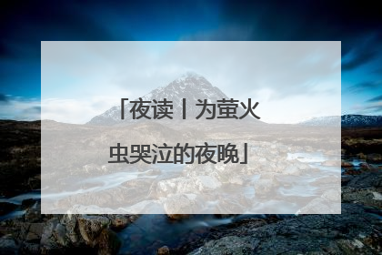 夜读丨为萤火虫哭泣的夜晚