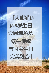 大熊猫迈迈8岁生日会圆满落幕 端午传统与国宝生日完美融合