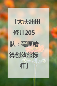 大庆油田修井205队：毫厘精算创效益标杆